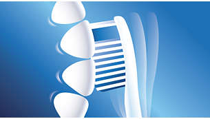 Wygięta główki szczoteczki ułatwia dostęp do tylnych zębów